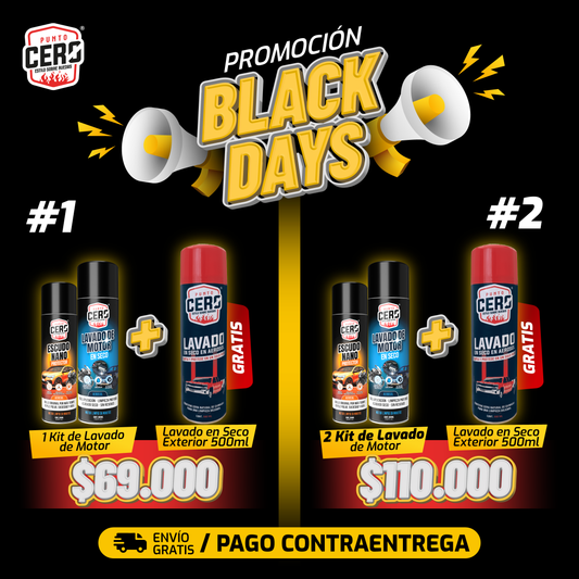 KIt 2 Lavados de Motor+ Lavado en Seco /  Black Friday